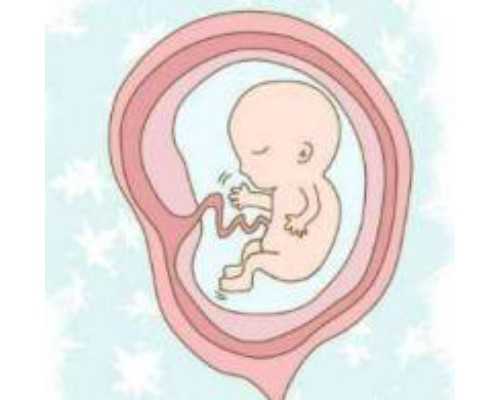 温州供卵怀孕包男孩 温州哪家试管婴儿医院成功率最高 ‘32周双顶径看男女’