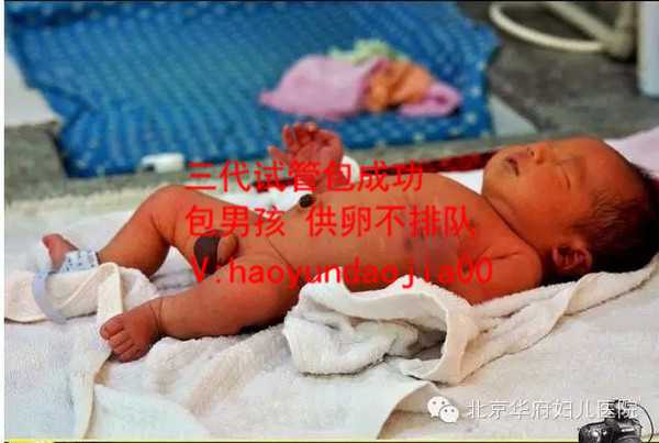 私立医院做供卵合法吗_天津供卵自怀对母体要求_做试管婴儿有什么坏处吗？身