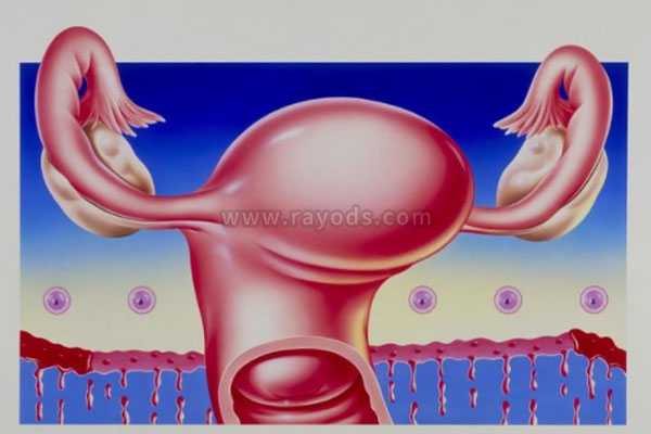 你知道做试管婴儿时子宫内膜薄或厚该如何处理吗