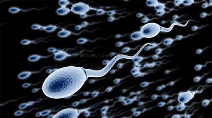 天津最新代孕价格|人类精子库是干什么的？只能用于试管助孕吗？