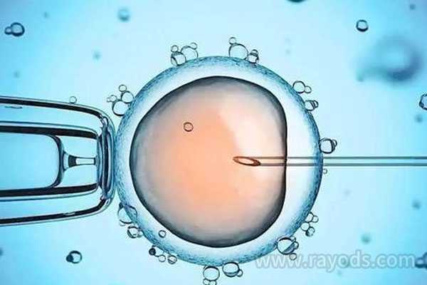 50岁天津借卵子生子的好处|试管移植前孕酮高该怎么办?