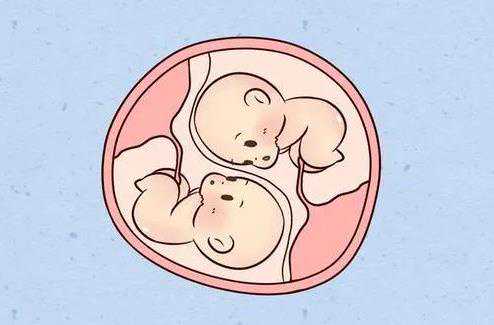 天津最大的代孕结构 天津医大二附属医院试管婴儿医生评价 ‘怀孕六个月女孩