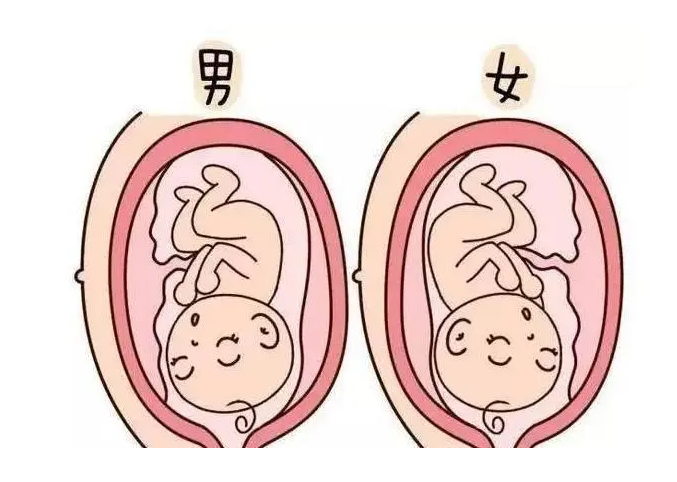 天津看代孕那家医院好 天津供卵三代供卵生男孩医院 ‘孕妇b超单图片2.9x3x1.