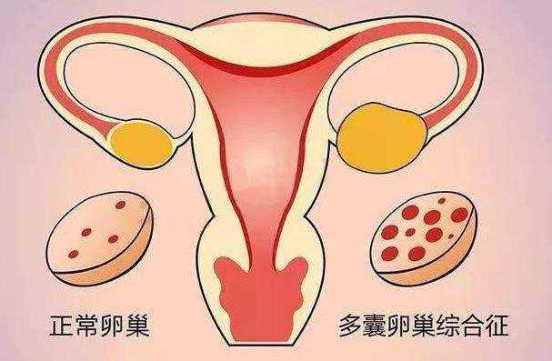 天津怎么找供卵服务 天津总医院试管婴儿成功率很高吗? ‘13周怀孕b超单数据男